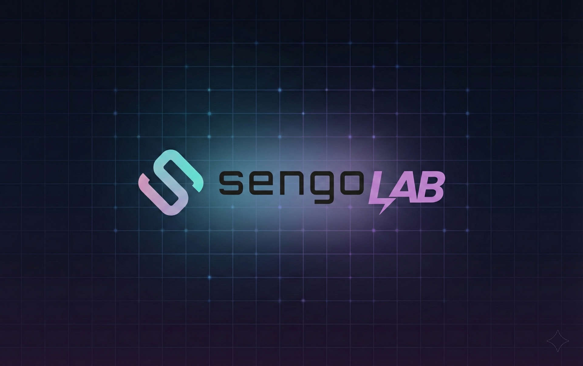 Premium 5@7 networking conference — Sengo Lab launch